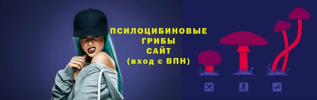 марки nbome Нефтекумск