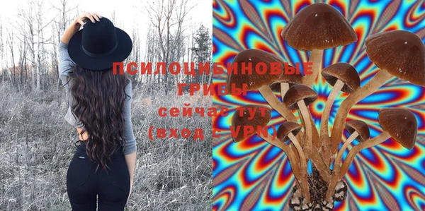 PSILOCYBIN Нея