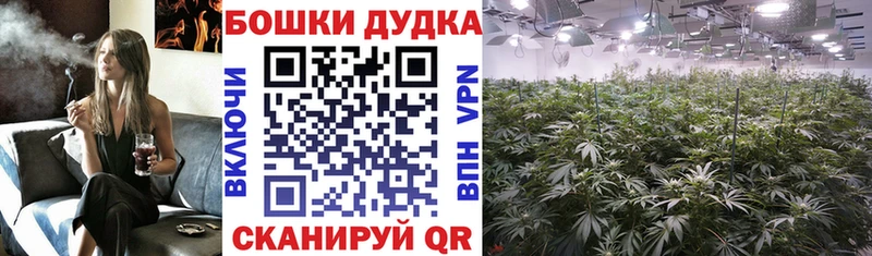 Шишки марихуана SATIVA & INDICA  Нижний Ломов 